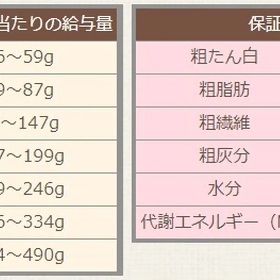 5c08ad7a40c9ea2679228b5e