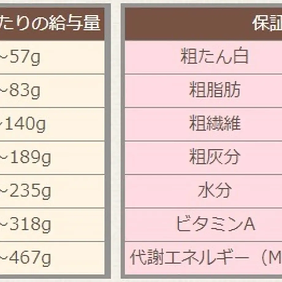 5c08ad7840c9ea2679228b4d