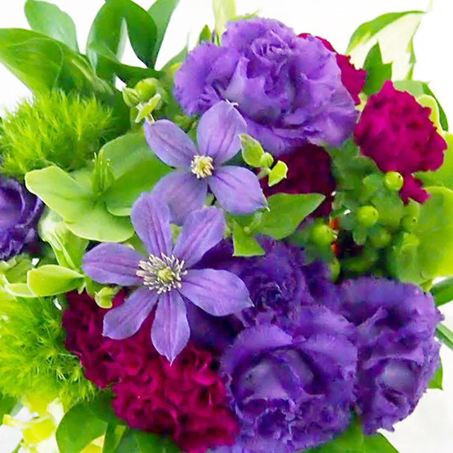 5f212fe2d7e1d8060bb56a8c