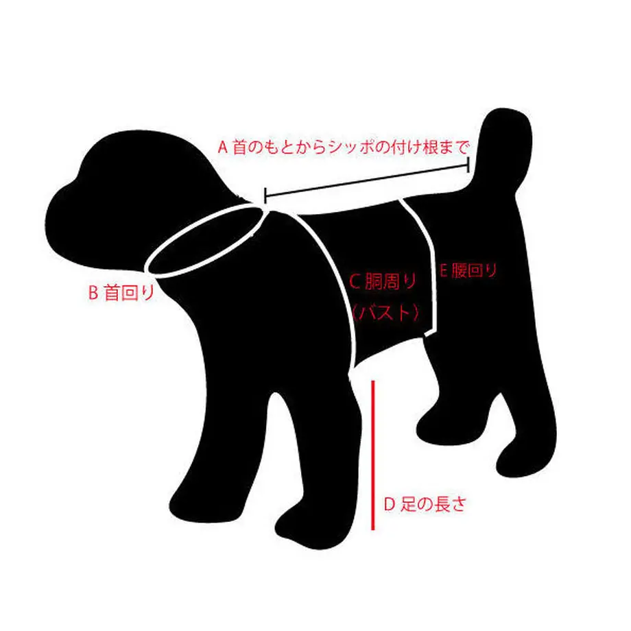 5f8c2fb76e8b2b20e832a85d