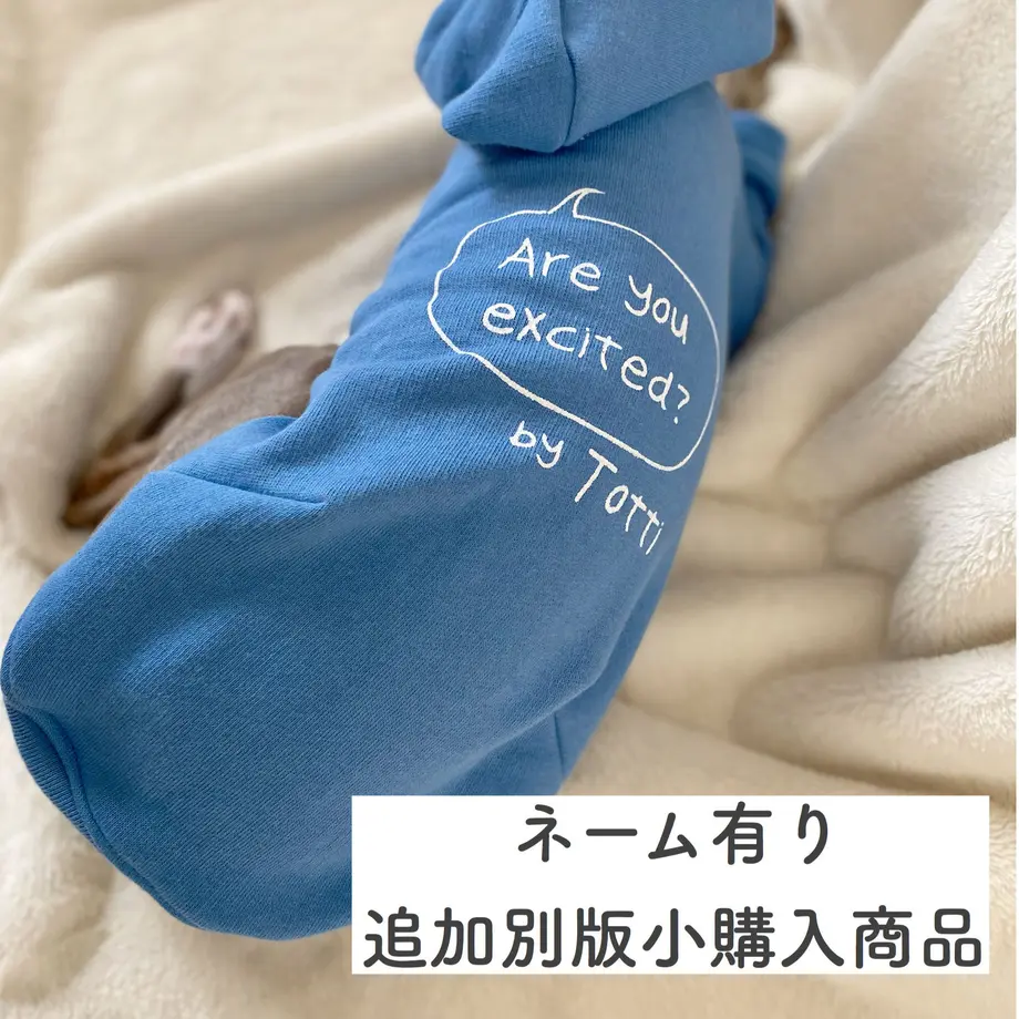 5e7d49362a9a4243a08aed11