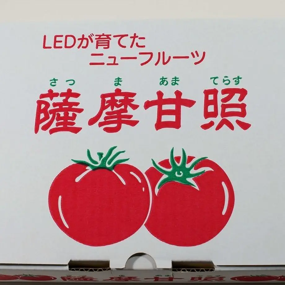 5d9695cdff78bd422dc69cbf