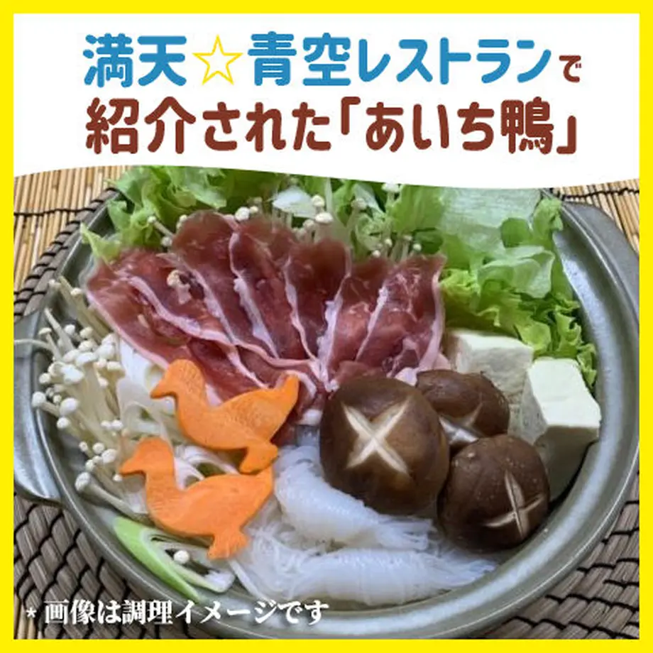 5f045798ec8fd371ad60158e