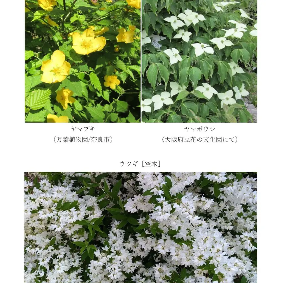 5f041c6fec8fd34403e26efb