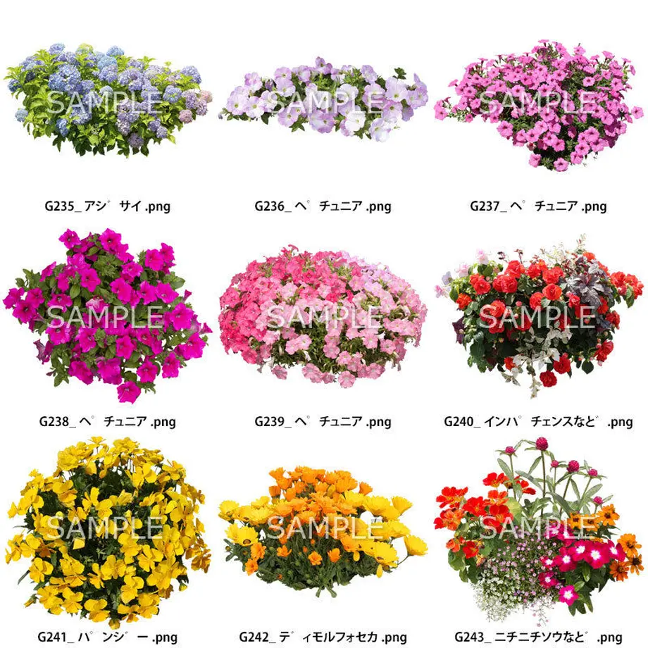 5c80bb856a41ea5dfb95bd48