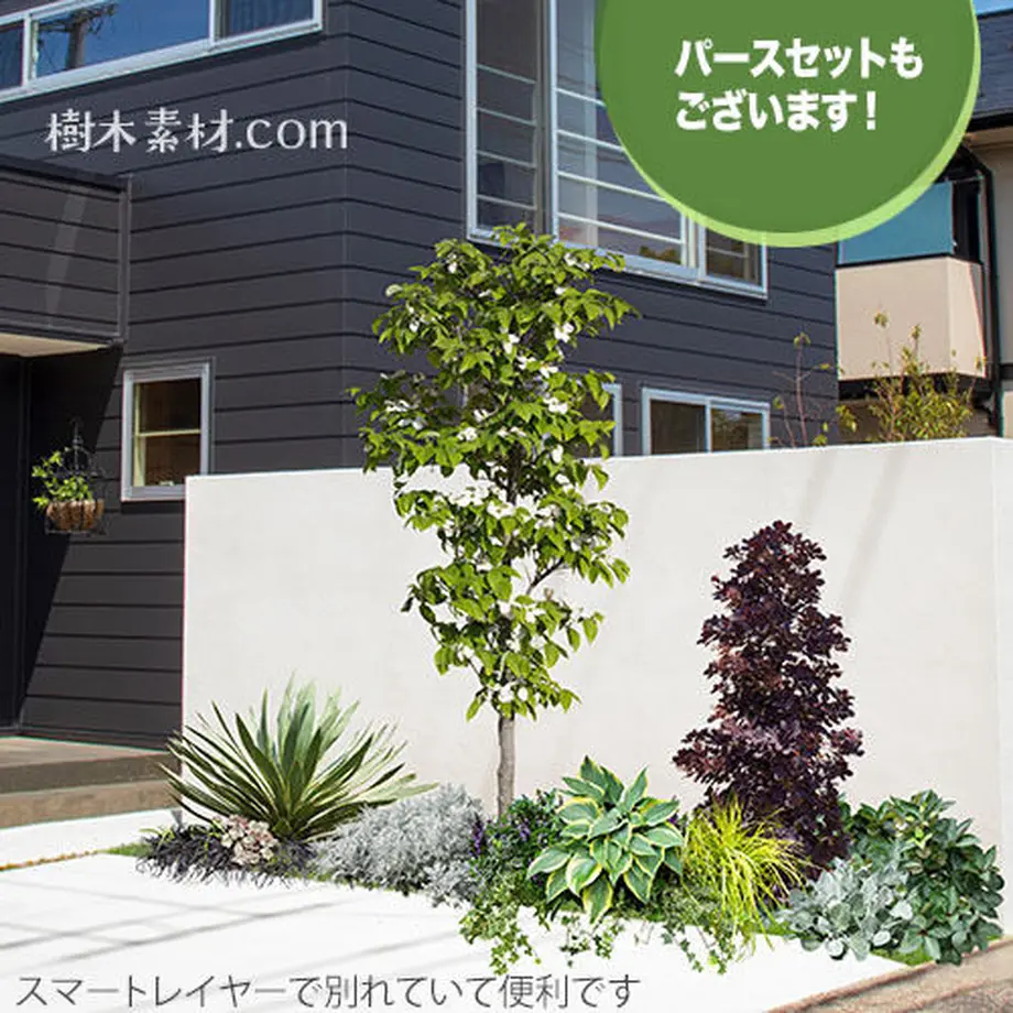 5c80b8a72ef8285176b3714f
