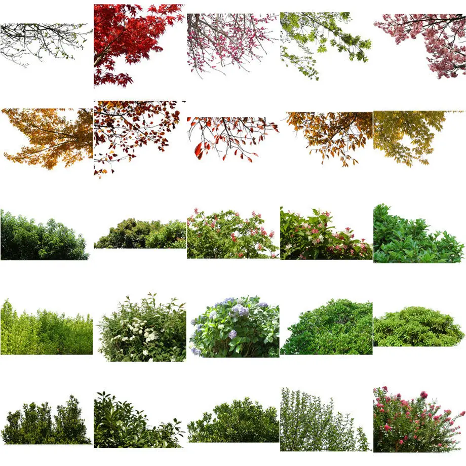 5b8230775496ff4f9b00165d