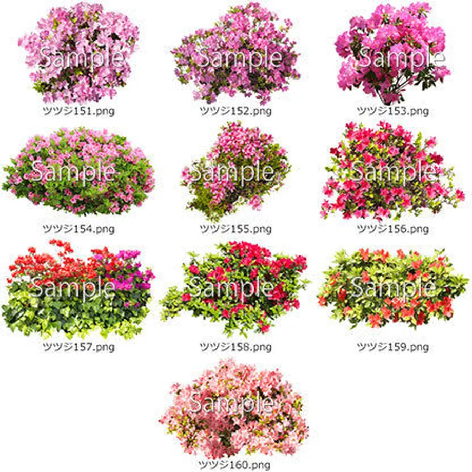 5b6fe097ef843f3319001cc4