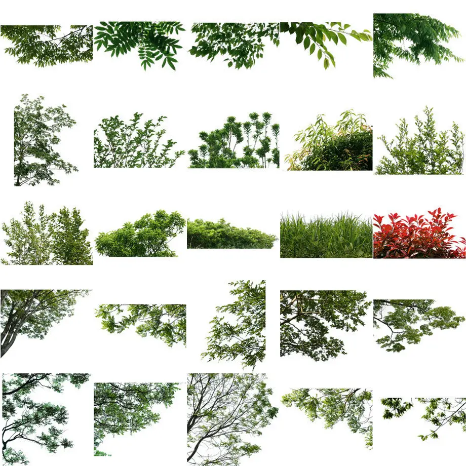 5b8230775496ff4f9b00165d
