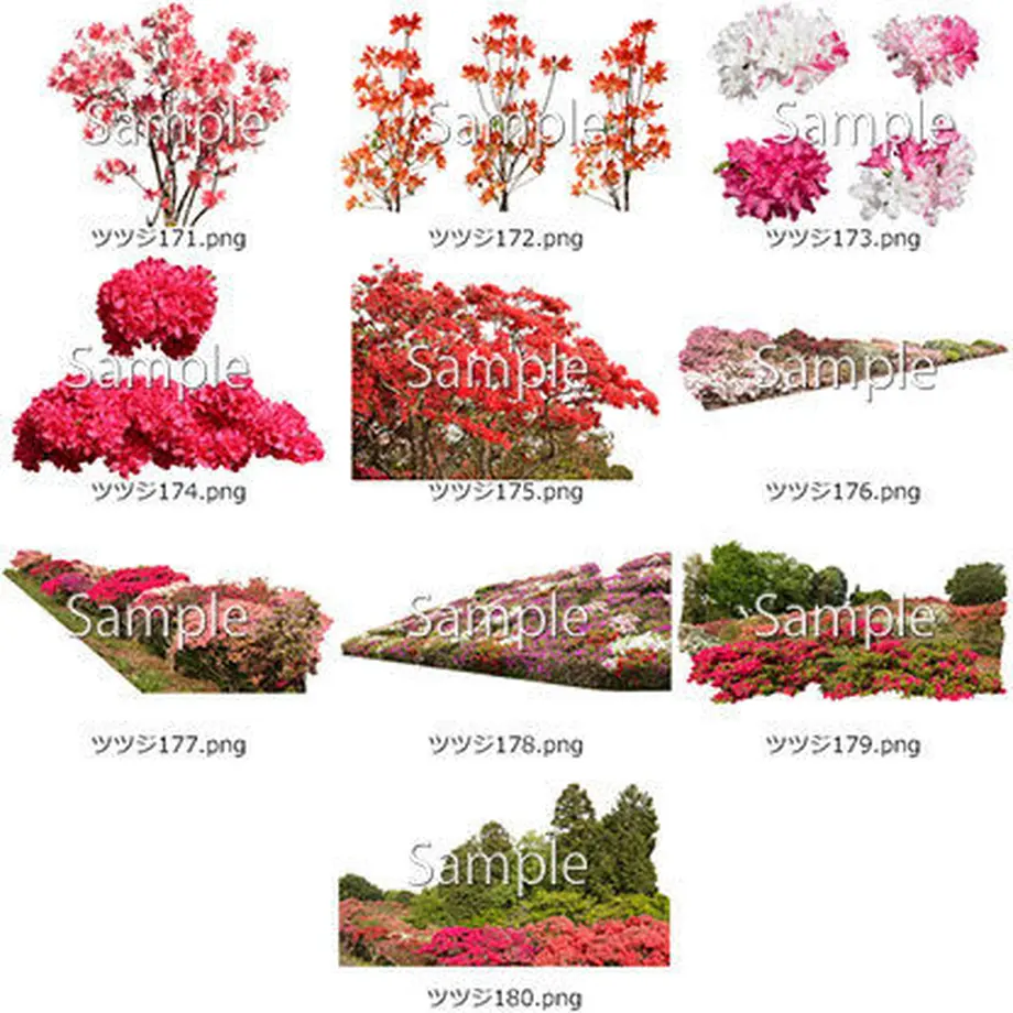 5b6fe1b95496ff74b00015cb