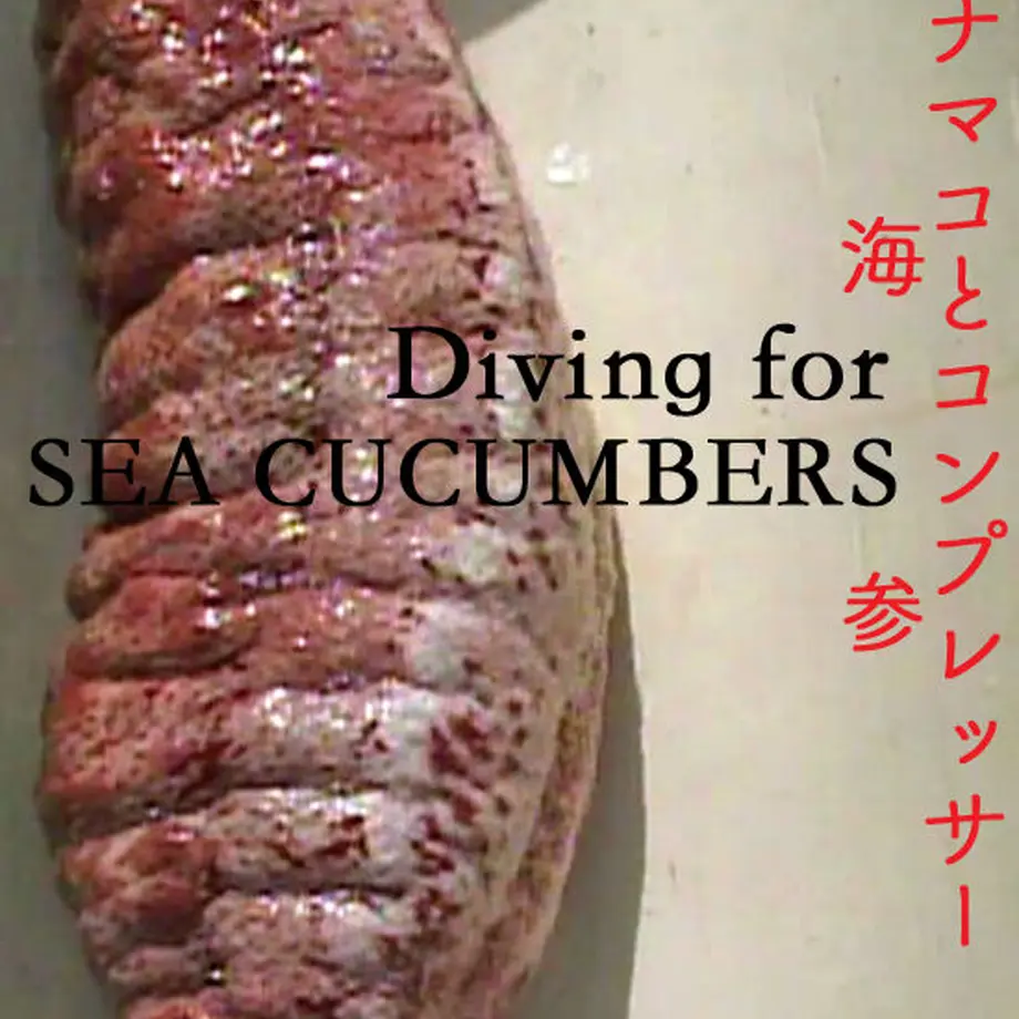 5fa526cdb00aa367fca02620