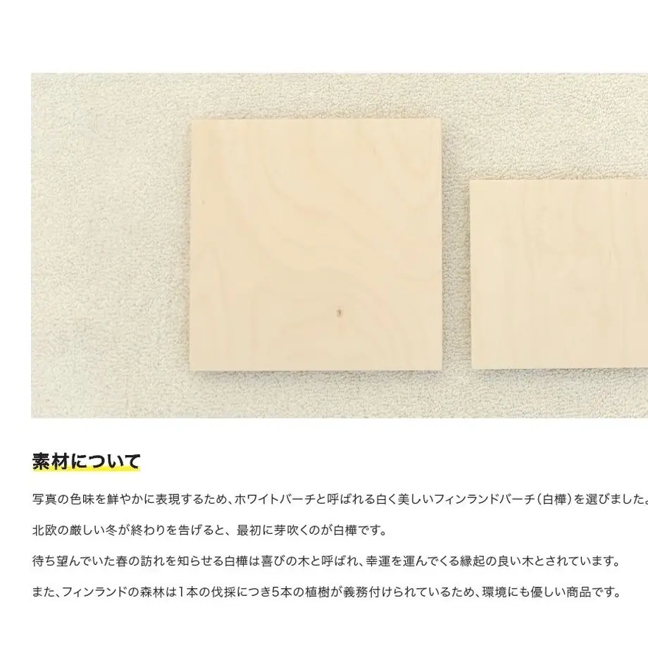 5c5d48fa3b63650469c91817