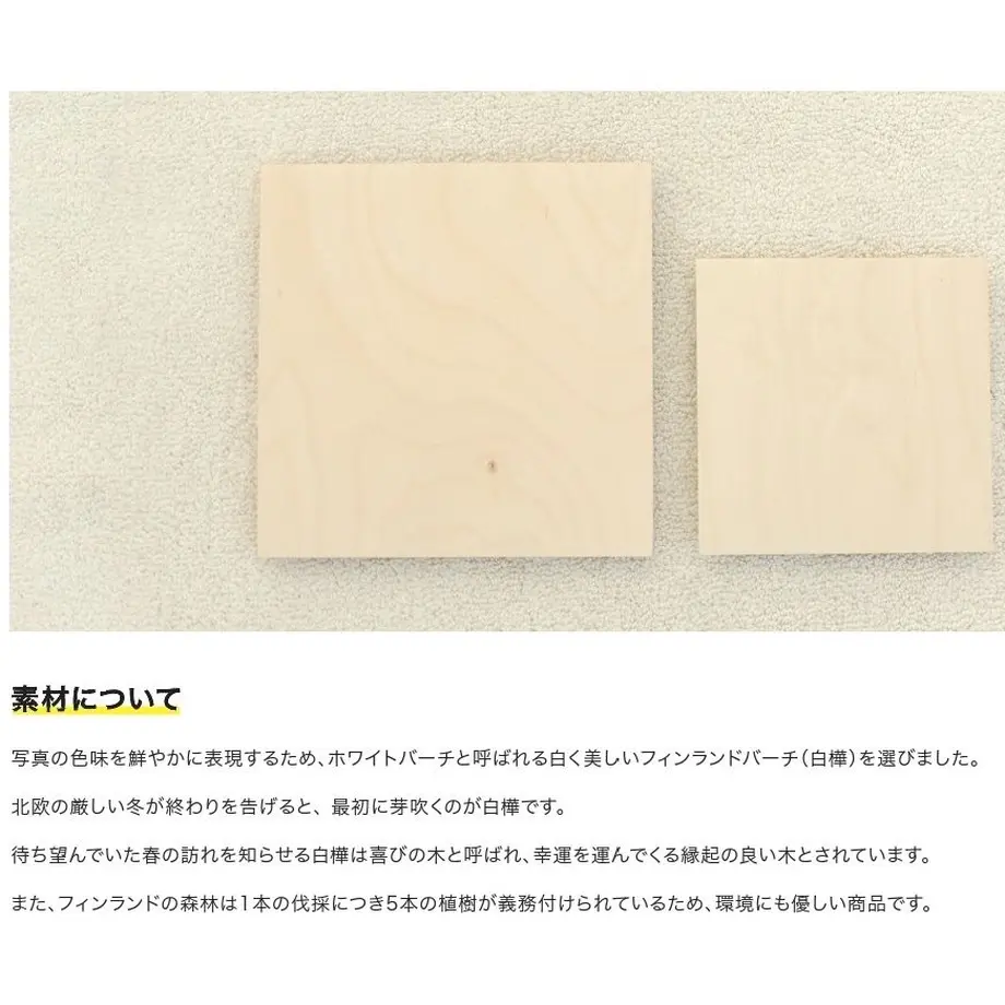 5c5d6cc33b63651152c91813