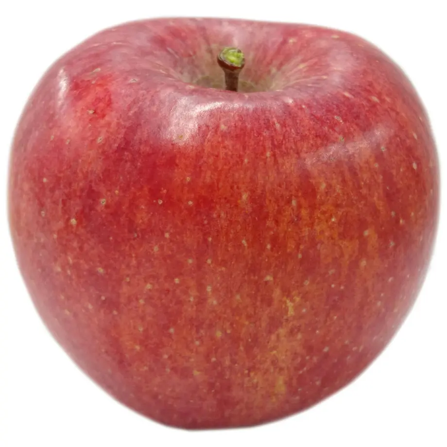5de6f970b080e03b5ac804a6
