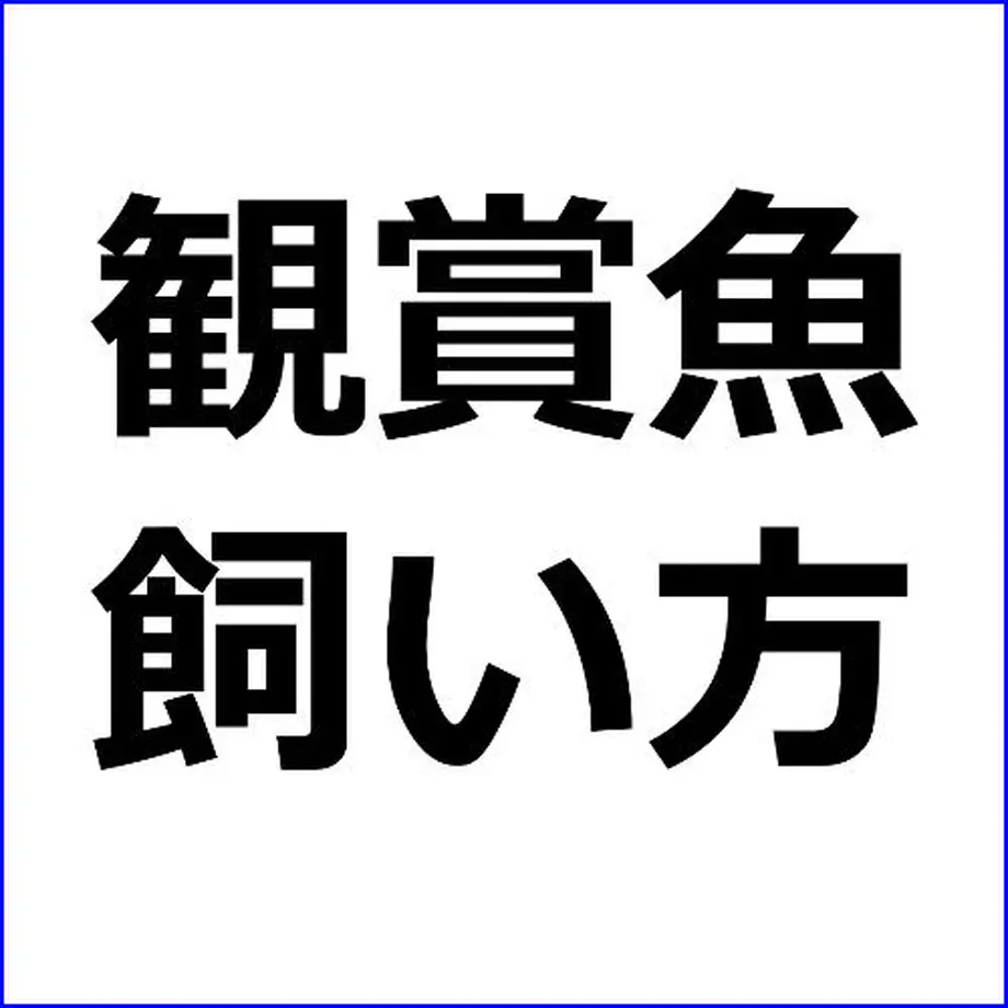 5dd8b69a1da41277477cee7c