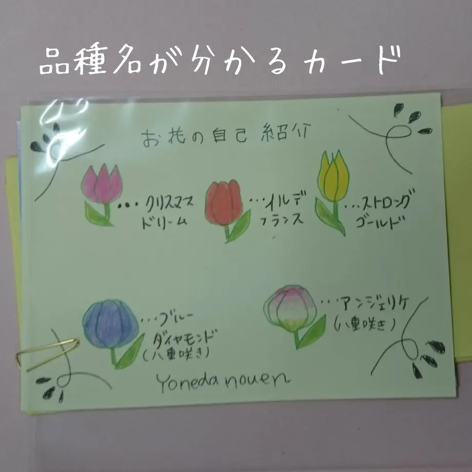5a7b25f7428f2d3d8300312b