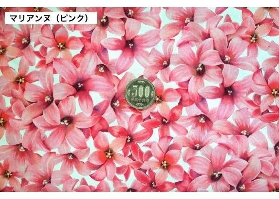 5ca700c02c1c5146be5bb6ce