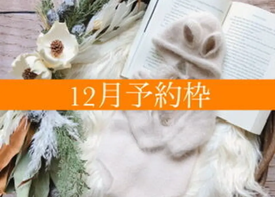 611b1585e494332ed6a2c685