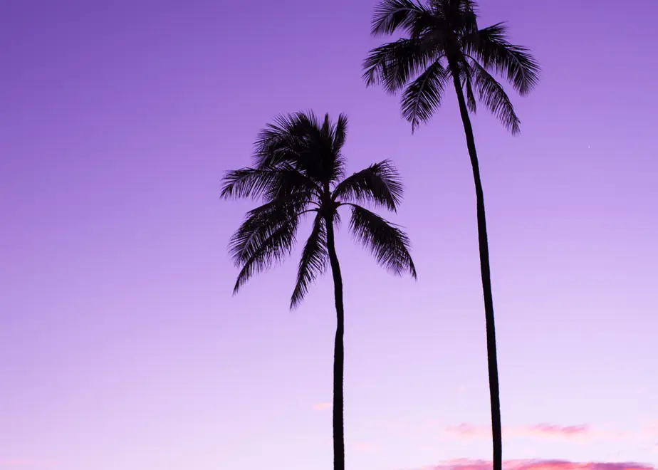 5f55d1f037b0bc6616fe2f87