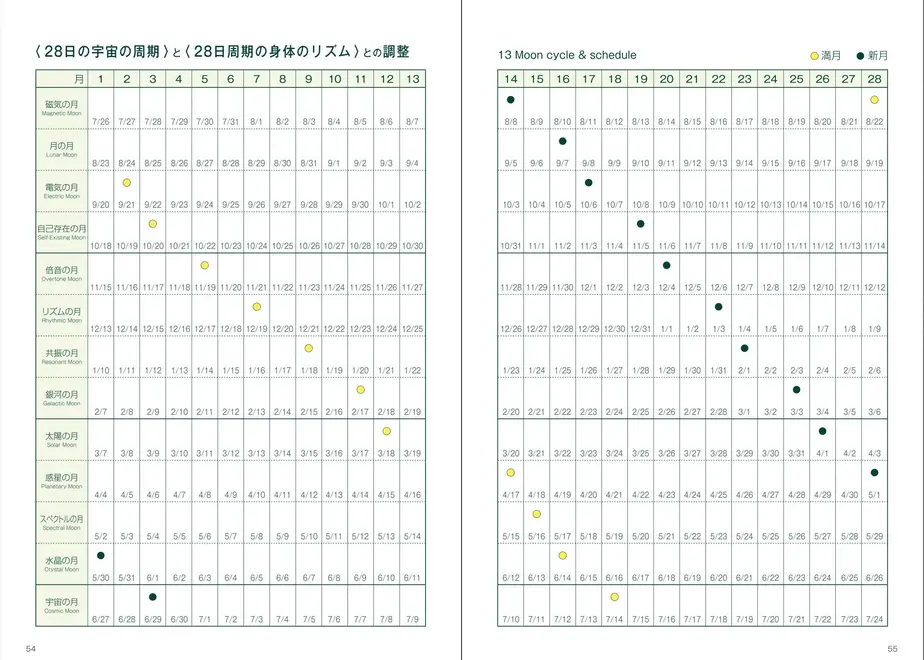 62b248a0288b804ed50a8a11