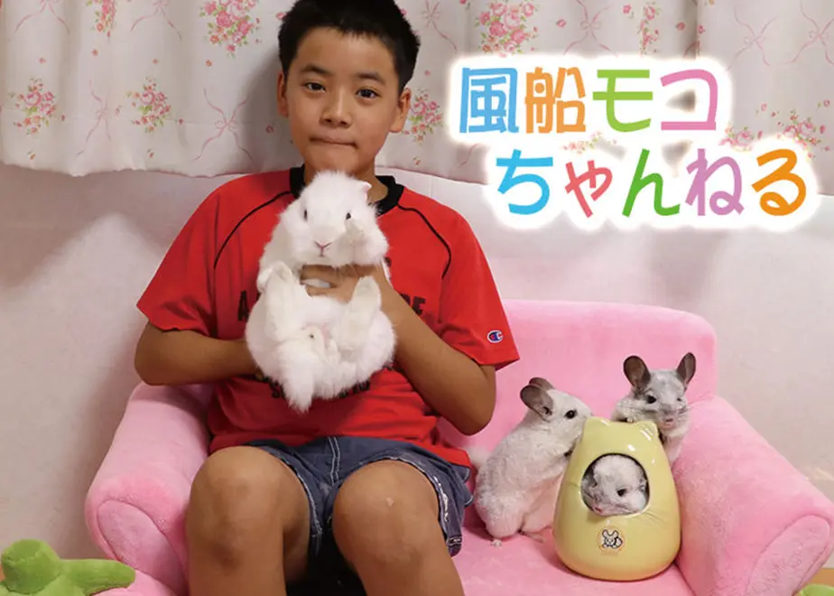 5d9187ae9658032a60d8c6d2