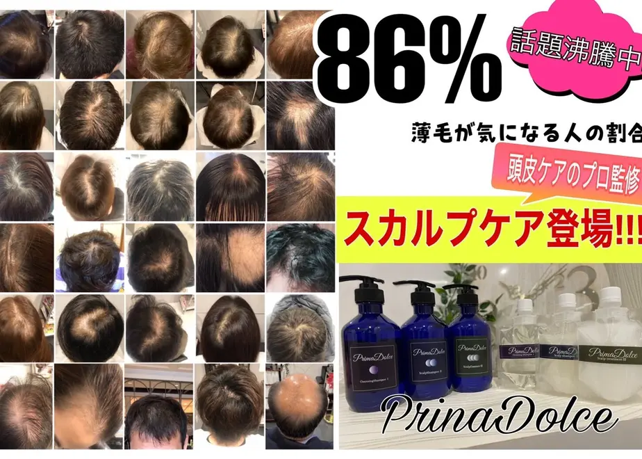62fb4bbd8691ec4bf16ef4a8