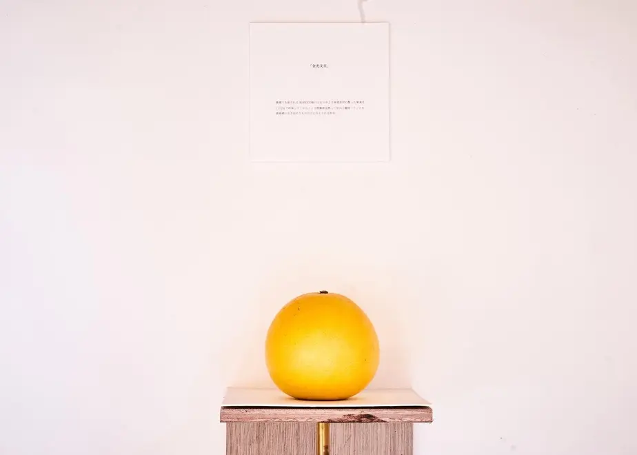 61526766603feb3630b0c42f