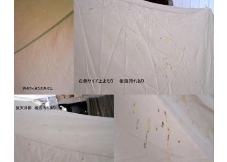 5b29baf2ef843f423700100f