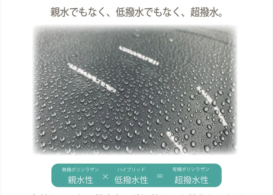 6316a7bda74e336c365a2c6a