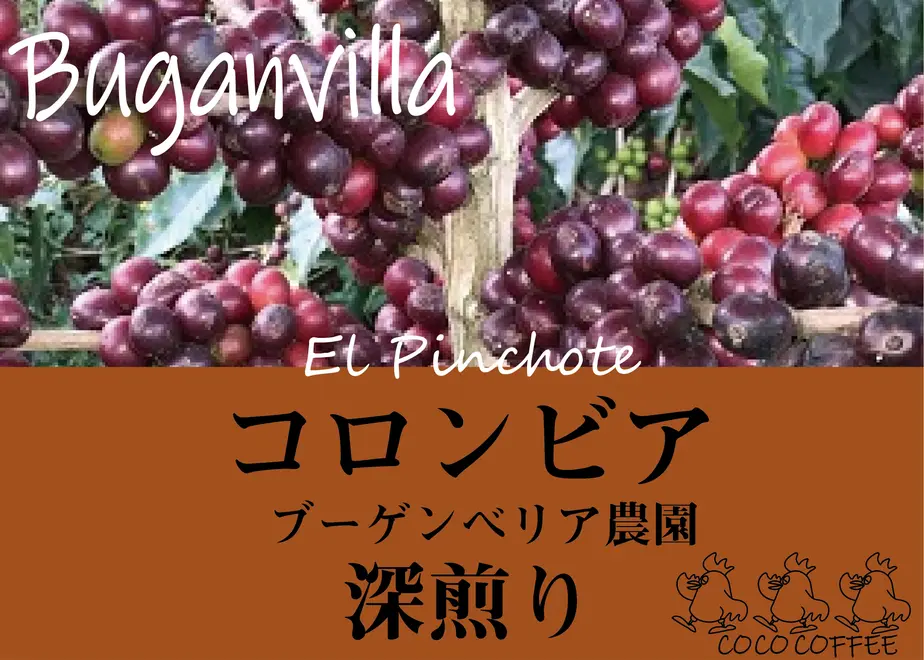 5fc50be28a45725f45b51102