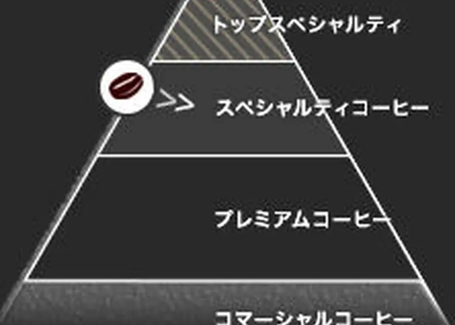 60e7f44459a26c3f7b7d3e1f