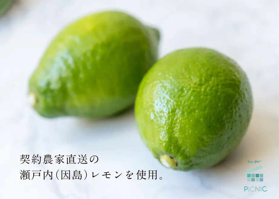 61667e6a2b36821918d008d6
