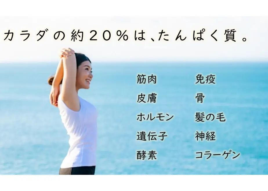 5f7693e08f2ebd78ab1a92f5