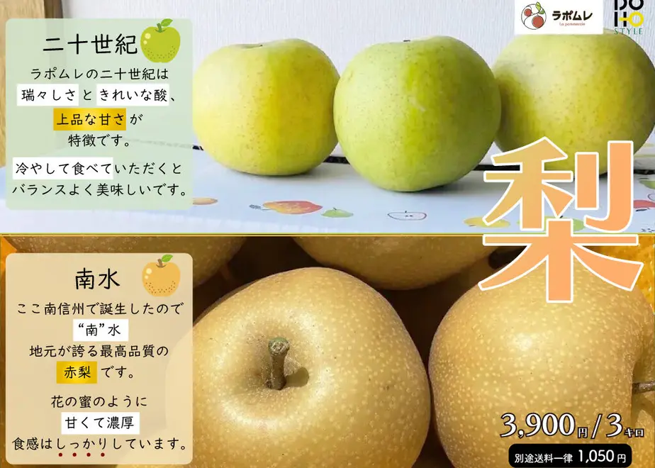 6317d51f23747f320303defa