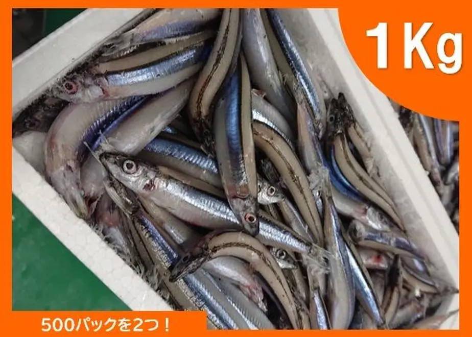 5f2bc53a791d020f558764cc