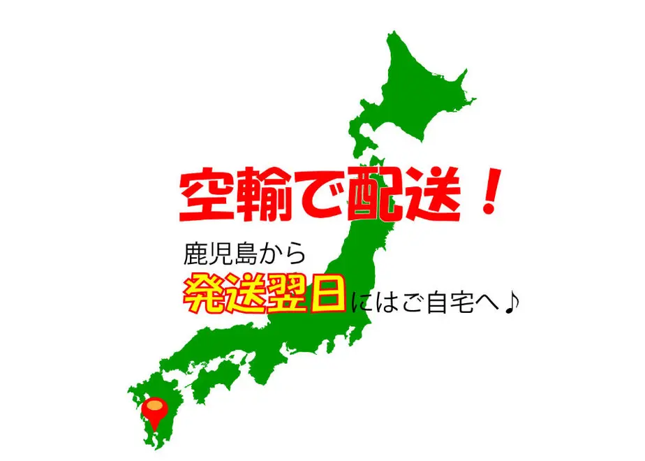 5f2bb0feafaa9d76ee3c6377