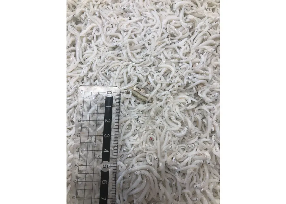 5fd2dd6472eb4611d985fdb8