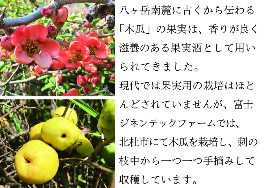 611e6f48e50c0b3794cc8755