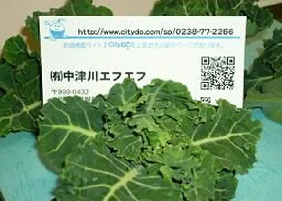 60014a97df51594251adcc7a