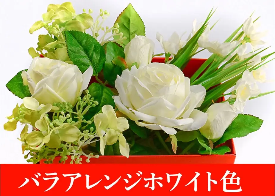 5eb6197434ef015924cfbb4f