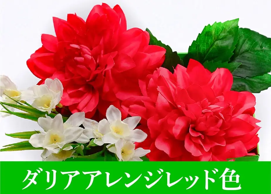 5eb6225b34ef017281cfb91c