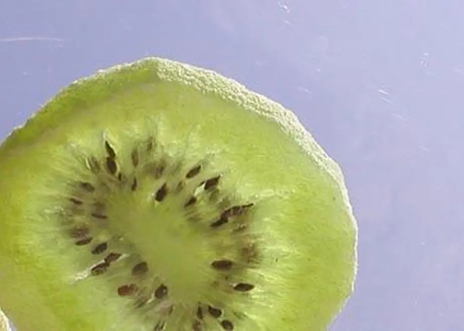 5f1e6f117df2816dd979a040