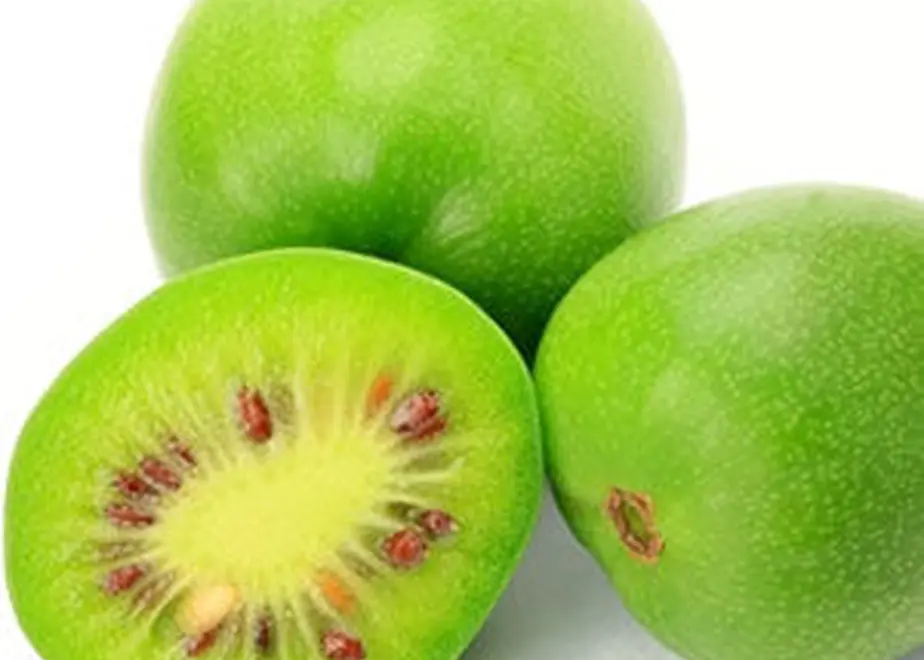 5f1e7028afaa9d597af15fbb