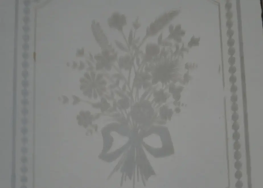 5e1768166c02352aef8decb3