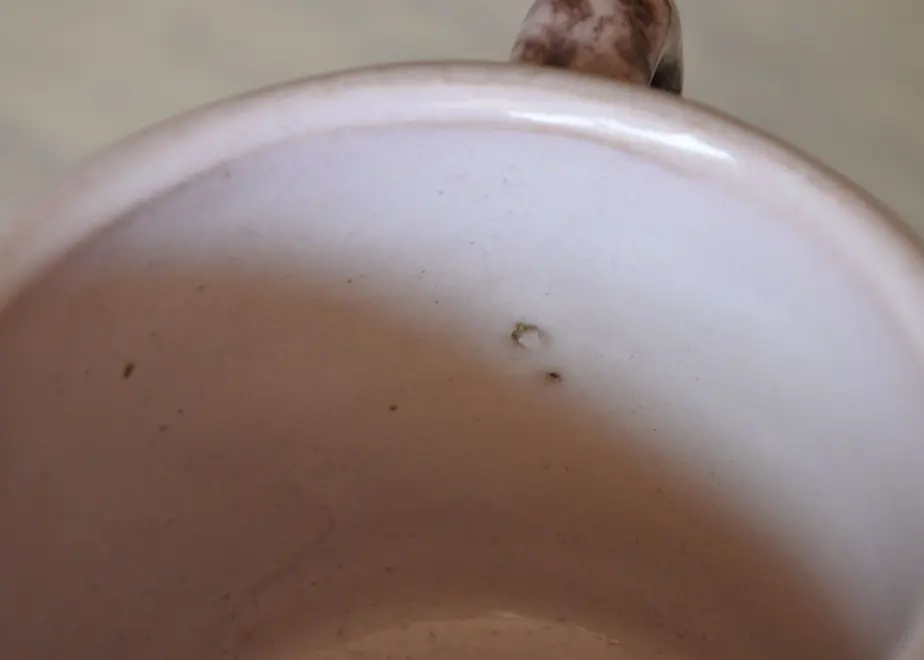 5e1768196c02352aef8ded19