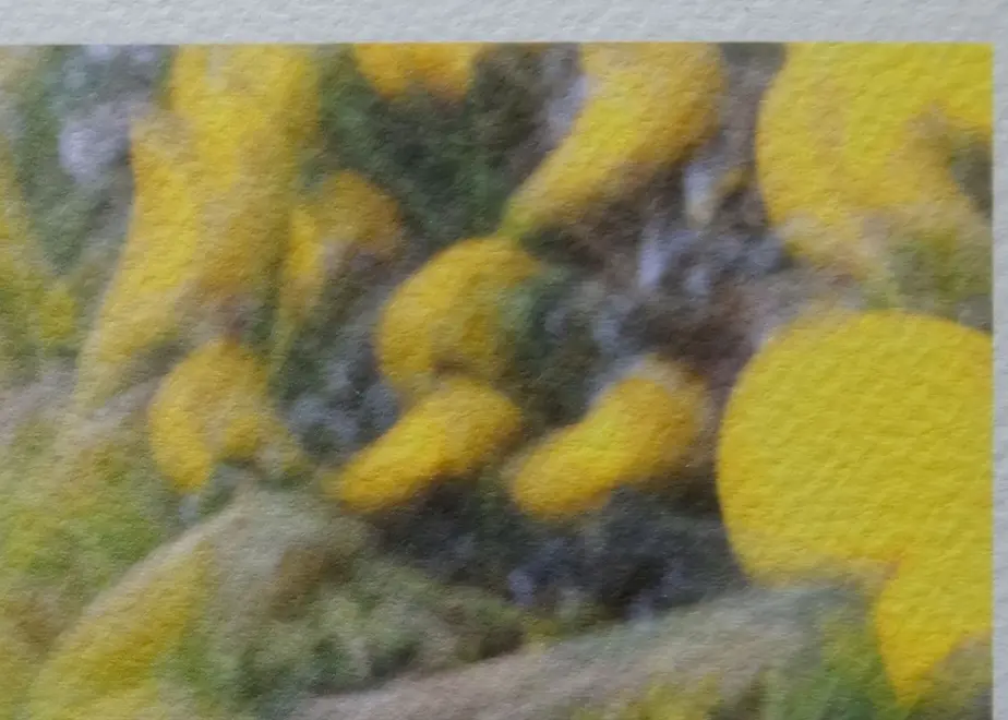 5ed6afd2cee9ea0605dd55af
