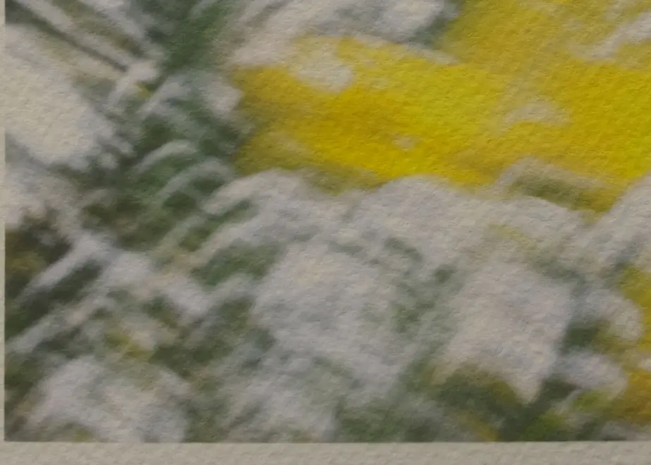 5ed6af4034ef0115e0be9b36