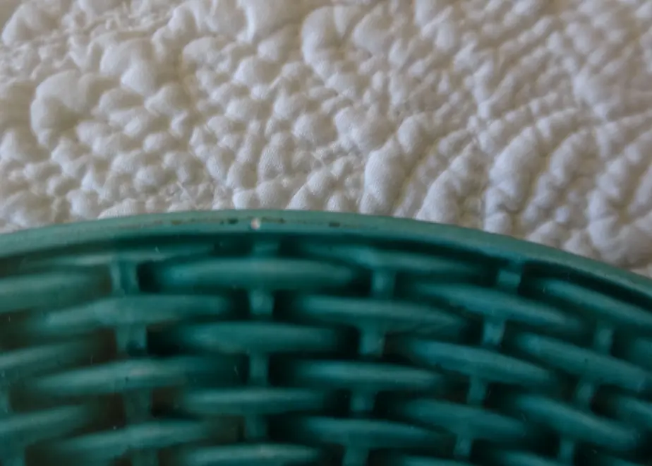 5e2312234c4ae87d91aea482