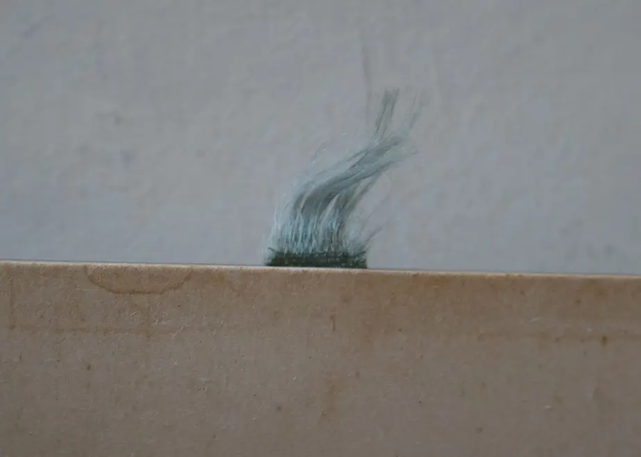 5e1768166c02352aef8decb3