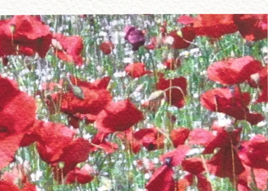 5ee8cc510d5e3858c05197db